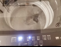 小天鹅（LittleSwan）波轮洗衣机全自动家用 10KG 直驱变频 TB100V26DT 以旧换新 国家补贴 京东自营 一级能效 实拍图