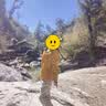 啄木鸟冲锋衣三合一男女士新款外套男情侣夹克春秋冬季登山滑雪衣服男装 枫叶黄 (三合一男女同款) M (建议95-110斤) 实拍图