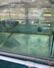 瓦克（WACKER）121大型鱼缸胶水族馆玻璃胶水族箱密封胶防霉防水速干型透明色 实拍图