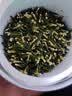 同仁堂品牌 北京同仁堂莲子芯茶250克湘潭干货莲子心泡水煲汤养生茶 实拍图