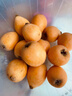 京鲜生 四川枇杷五星枇杷1kg 单果20-30g 新鲜水果 实拍图