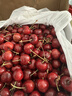 田良季金钻级 车厘子【JD-多地次日达】国产大连美早大樱桃新鲜水果送礼 5斤(净重) 礼箱装【蕞划算】 巨无霸 JJJ 30-32mm丨个大超甜 实拍图