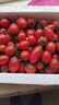 千禧圣女果新鲜小番茄樱桃小柿子孕妇水果现摘现发新鲜蔬菜 新鲜圣女果 3斤 带箱 实拍图