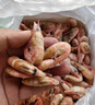 禧美海产熟冻北极甜虾净重3斤装/盒 150/180小号规格 MSC认证 轻食海鲜 实拍图