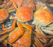 乾澄【活蟹】乾澄大闸蟹现货 公4.0两母3.0两8只4对鲜活螃蟹海鲜过年送礼年货礼盒源头直发 实拍图