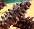 咔味熊 海参鲍鱼礼盒  大连淡干海参 海味干货礼盒 送礼补品 实拍图