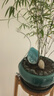 三思京东集采JC系列植物补光灯仿太阳全光谱 植物灯 盆栽夹子灯-5W 实拍图