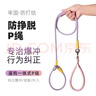 加仕高宠物P链XL号 狗狗牵引绳狗绳狗链项圈中型犬狗狗外出遛训犬狗带 实拍图