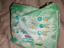帮宝适超薄透气清新帮拉拉裤新生儿婴儿尿不湿尿片透氧Pro XL34 实拍图