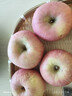 京鲜生 烟台红富士苹果 净重5斤  单果190g起 春节也送货 实拍图