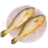 威尔斯（WEIERS）【春节也送货】宁德大黄鱼600g 地标认证黄花鱼 深海鱼生鲜鱼类 实拍图