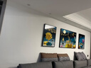 Sixpoetry 客厅装饰画现代简约沙发背景墙壁画轻奢三联晶瓷画大气高档挂画 家和富贵（铝合金外框） 晶瓷画左右50*70+中间100*70亮面 实拍图