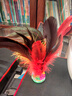 健田（JIANTIAN）毽子大号公鸡毛鹅毛羽毛比赛毽球户外玩具牛筋底红色单只装 实拍图