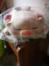 名创优品（MINISO）小猪B-BO翅膀款趴毛绒公仔玩具玩偶抱枕娃娃靠枕生日礼物女 实拍图