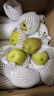 京鲜生 新疆库尔勒香梨 净重10斤 特级 单果120g以上 生鲜水果 实拍图