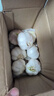 紫白皮蒜水果大蒜超市即食生鲜蔬菜大蒜 [活动]8头 200g 单果3.5-5cm 实拍图