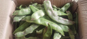 京鲜生山东新鲜油豆角3斤装新鲜蔬菜源头直发包邮 实拍图
