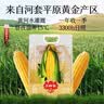 三胖蛋7A甜糯玉米新鲜真空包装加热即食高品质黄玉米棒粗粮代餐228g 7A甜糯玉米1.82kg【量贩装】 实拍图