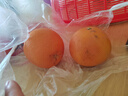 京鲜生 福建红心西柚/柚子 5斤装 单果230g起 生鲜水果礼盒春节也送货  实拍图