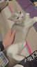 鲜朗冻干猫零食猫咪幼猫成猫营养鸡肉粒鸡胸肉非猫粮冻干零食 鸡鸭猪混合3包【囤货装 共170g】 实拍图