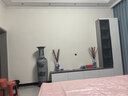 收藏天下景德镇陶瓷器仿古粉彩花瓶客厅摆件酒柜玄关博古架电视柜瓷瓶摆设 鹤鹿同春吉庆瓶对瓶+底座31cm 实拍图