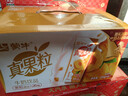 蒙牛真果粒黄桃味牛奶饮品250g*12盒 小黄鸭IP 礼盒新老包装 含乳饮料 实拍图