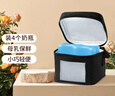 美德乐（Medela）背奶包妈咪包便携式外出储奶存奶 蓝冰母乳保鲜冷藏喂奶冰包 实拍图