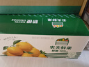 农夫山泉 农夫鲜果 净重10斤装 生鲜水果橙子年货礼盒源头直发包邮 实拍图