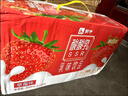 蒙牛酸酸乳草莓味轻享畅饮 211g*24盒 含乳饮料 礼盒装定制 京东专供 实拍图