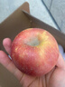 京鲜生 新疆阿克苏冰糖心苹果 净重9斤 果径75mm 新鲜水果 实拍图