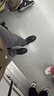 七匹狼（SEPTWOLVES）男鞋板鞋工装鞋正装鞋皮面小白鞋休闲鞋W8313492390 黑色 43 实拍图