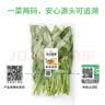 旭耕 有机蔬菜品种自选组合套餐 当季时令叶菜新鲜食材顺丰年货礼盒 8斤蔬菜【菜品自选8~12种】 实拍图