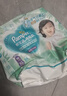 帮宝适超薄透气清新帮拉拉裤新生儿婴儿尿不湿尿片透氧Pro XL34 实拍图
