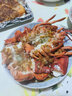 鲜京采 鲜活波士顿龙虾  净重400-500g/只 源头直发 保鲜到家 年夜饭 实拍图