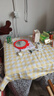 四万公里桌布小清新格子防水防油免洗ins风长方形餐桌布茶几桌垫布PVC露营 实拍图