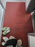 柏能条纹入户地垫门口红地毯入户门脚垫进户门口地垫可裁剪120x300cm 实拍图
