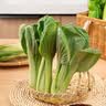 京鲜生&听蔬 有机油菜1斤 上海青 有机认证无农残无激素 源头直发 实拍图