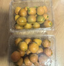 京鲜生 广西第三代脆蜜金柑 2斤礼盒（每斤20-27粒）源头直发包邮 实拍图