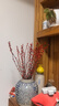 九月生银柳真花30支年宵花干花礼盒新年装饰摆件鲜切室内花卉60cm不含瓶 实拍图