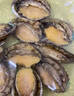 鲜京采  鲜活鲍鱼礼盒2斤（12-16只）保活到家 煲汤食材 源头直发 实拍图