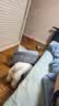 憨憨乐园狗窝冬季猫窝秋冬天可拆洗封闭式法斗保暖房子狗屋泰迪小型犬M 实拍图