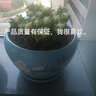 初啸【中国风】陶瓷花盆带托盘特大-大-中号兰花绿植花卉室内阳台花盆 PX304月梅 陶瓷 x 大号 实拍图