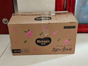 好奇（Huggies）铂金装小桃裤成长裤XL96片(12-17kg)加大号尿不湿【透爽散热】 实拍图