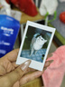 INSTAX富士instax立拍立得 一次成像相机 mini12（mini11升级款）鸢尾紫 实拍图