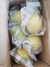 广东香水黄柠檬包邮新鲜水果柠檬精选皮薄奶茶店专用整箱 现货 柠檬带箱2斤单果70g+约10-18个 实拍图