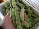 京鲜生山东新鲜油豆角3斤装新鲜蔬菜源头直发包邮 实拍图