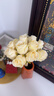 京东鲜花手捧玫瑰花束12支仿真花家居装饰摄影道具玫瑰花假花订婚餐桌摆件 实拍图
