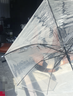 ins森系长柄半自动透明伞360度全景透明雨伞男女网红生折叠简约 小号半自动透明伞 8骨 实拍图