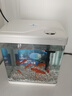 技研精工（JIYJNJINGGONG）鱼缸客厅小型家用带增氧桌面超白玻璃过滤免换水生态懒人鱼缸240 实拍图