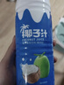 欢乐家 椰子汁大瓶装 果肉型植物蛋白饮料 椰奶椰汁 宴席聚餐饮品 【4瓶】椰子汁1L*4瓶 实拍图